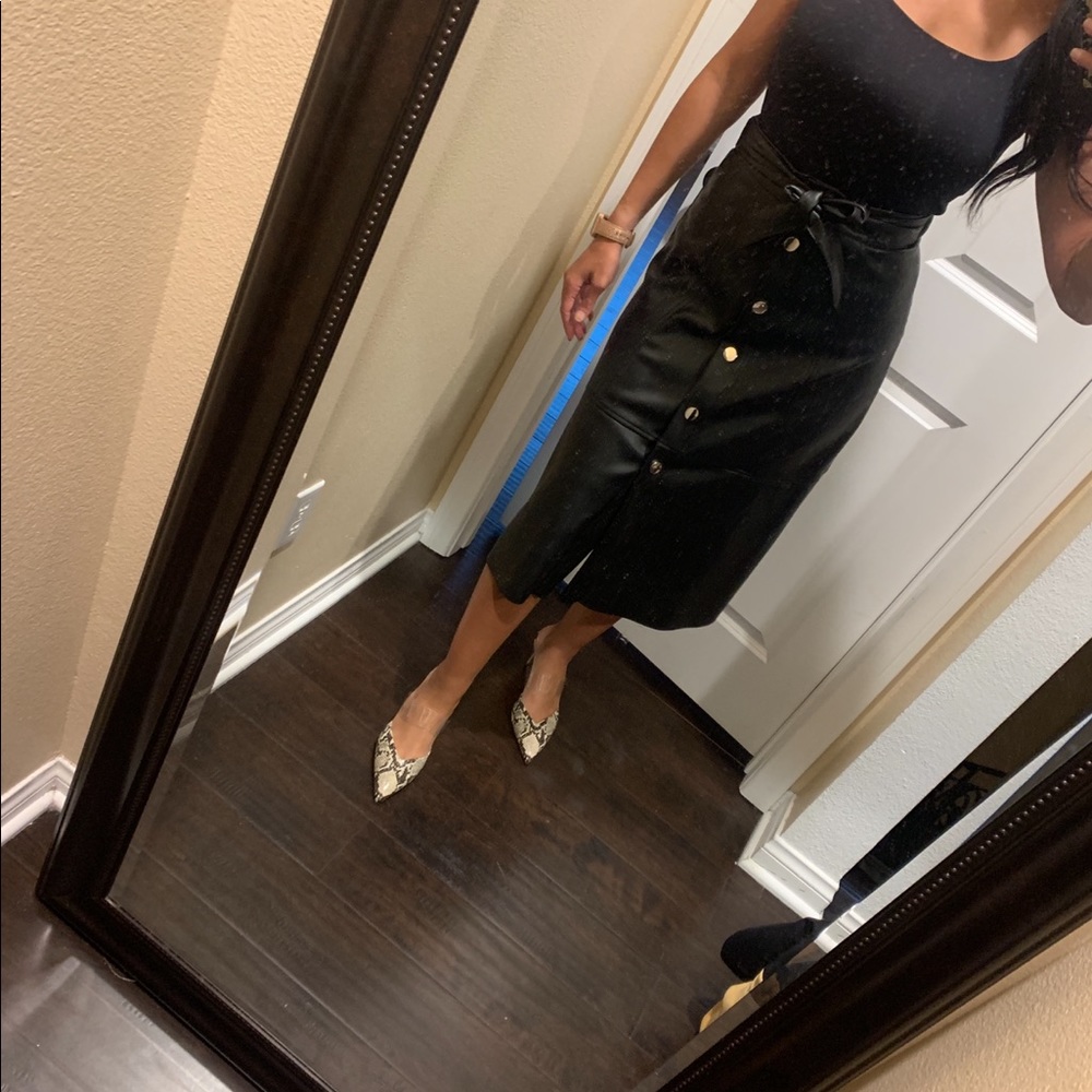 Zara Skirt